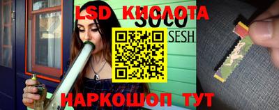 СК Кимры