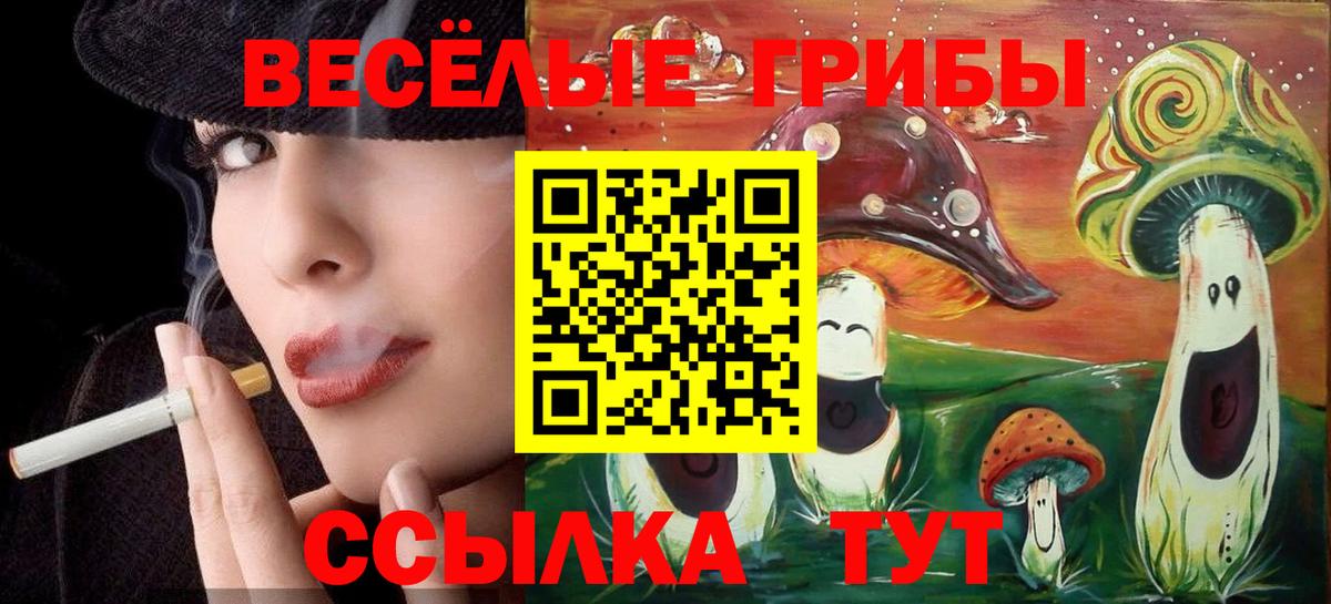 Галлюциногенные грибы мицелий  Вход с VPN  Донецк 